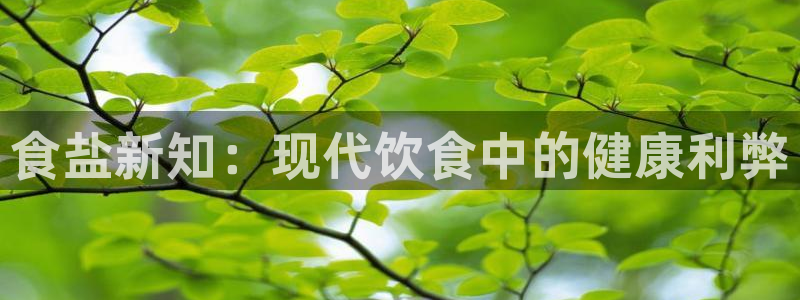 威九国际官方下载