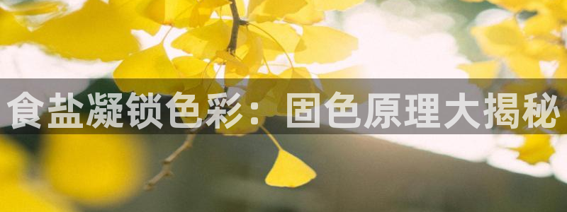 78mapp威九国际成长视频