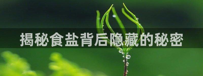 威九国际v96bet下载