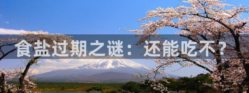 威九国际的演员