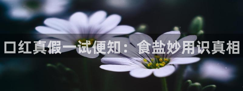 威九国际入口一