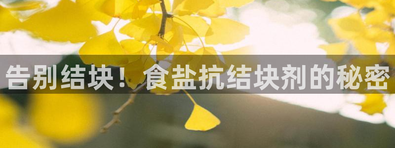 威九国际网站怎么样可靠吗