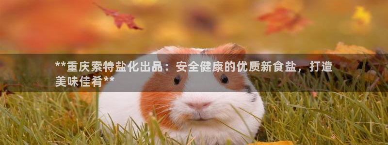 威九国际APP下载