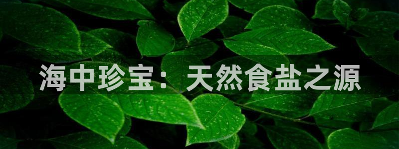威九国际娜娜