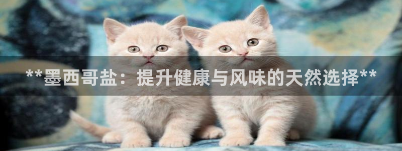 66m威九国际精选