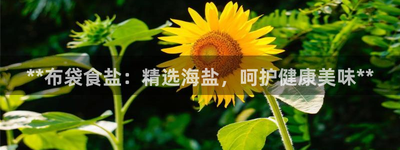 威九国际安全吗的认证团队