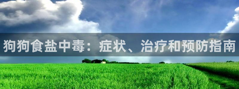 威九国际地址