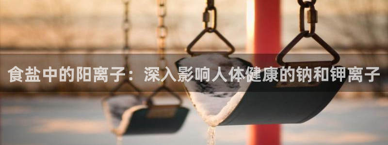 威九国际v18
