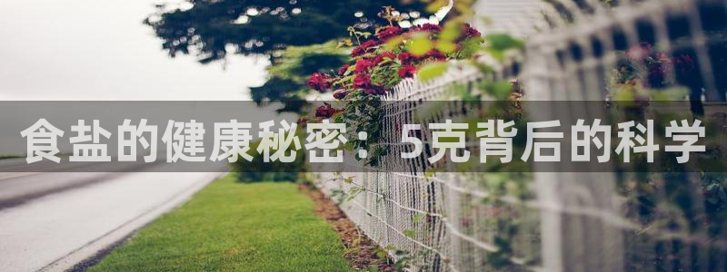 威九国际网站进入AB,AB