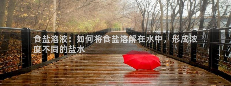 威九国际韩国