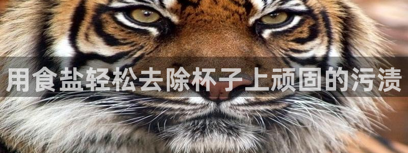 威九国际精彩视频2022年