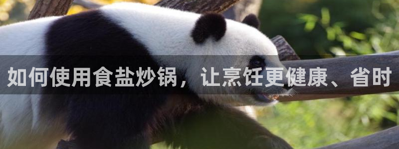 威九国际网站入口官网首页登录