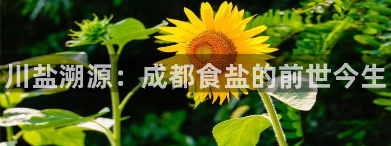 威九国际mm