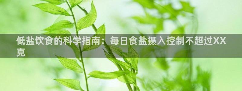 威九国际宣传片
