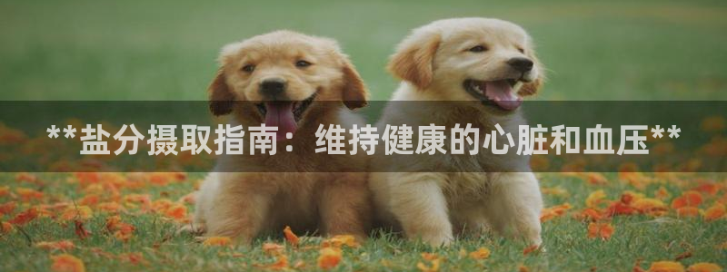 威九国际免费进入