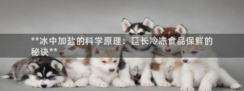 威九国际集团66m一6