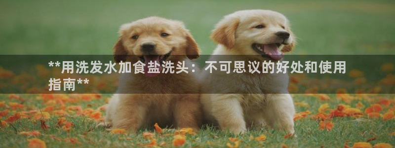 威九国际网站游戏