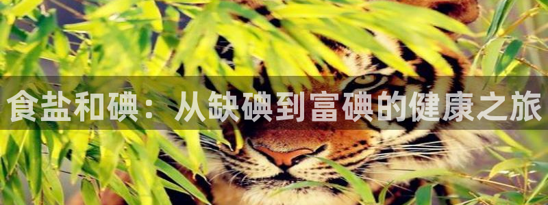 威九国际官方网站