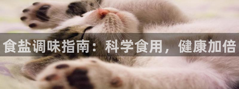 威九国际高清