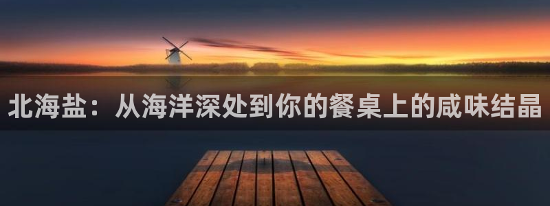 威九国际app哪个地方
