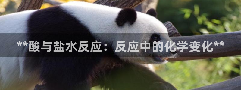 威九国际66m免费下载