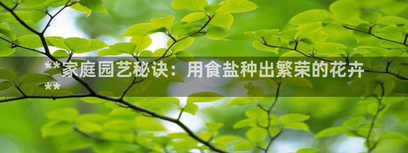 78mapp威九国际网页版