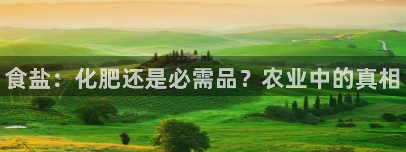 威九国际电子有限公司