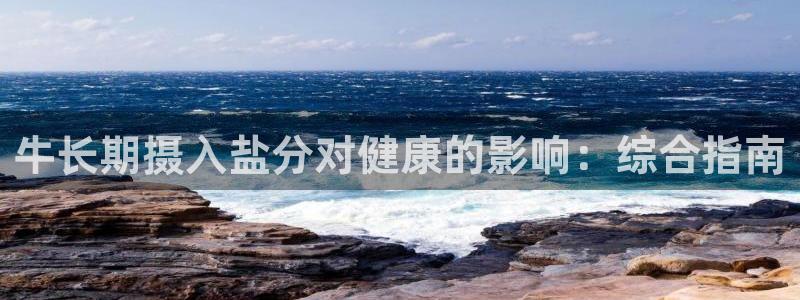 威九国际免费网络站