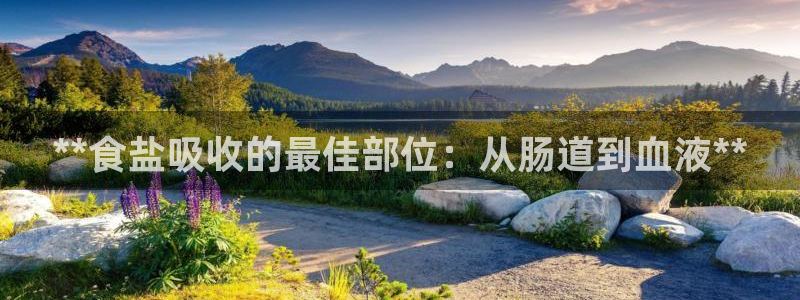 威九国际网站入口官网免费下载