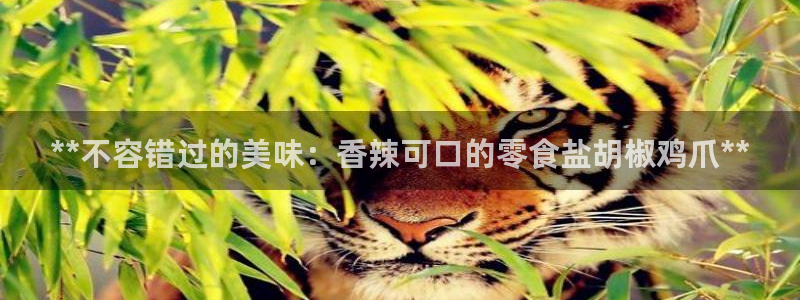 威九国际狂飚电影