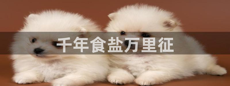 威九国际网站经常打不开