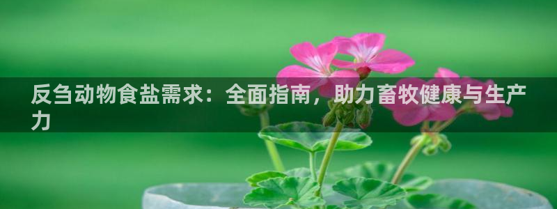 威九国际网站进入公司不断创新