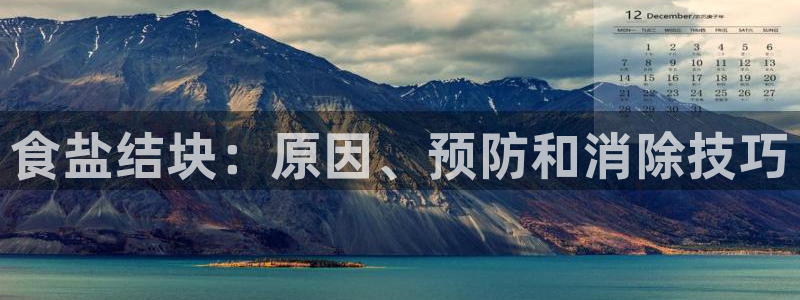 威九国际H