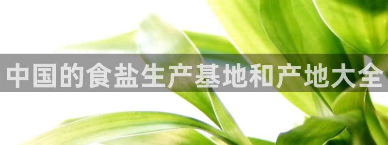 威九国际理论片最经典十首歌曲