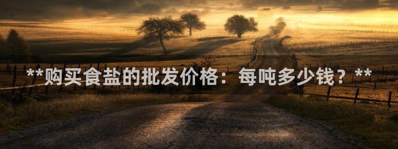 威九国际软件公司简介