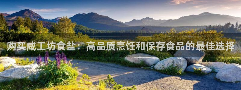威九国际成长模式