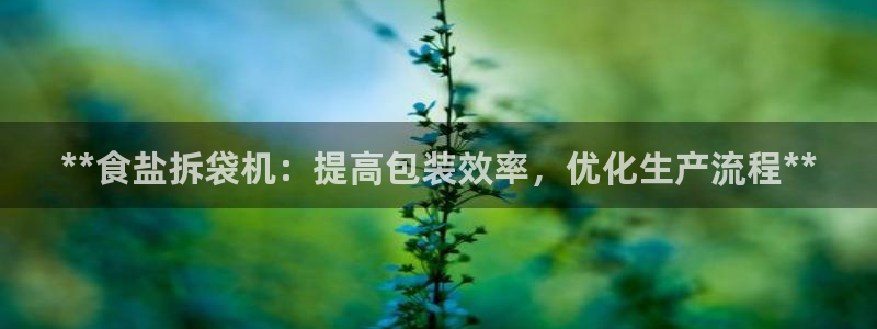 威九国际ppt官网