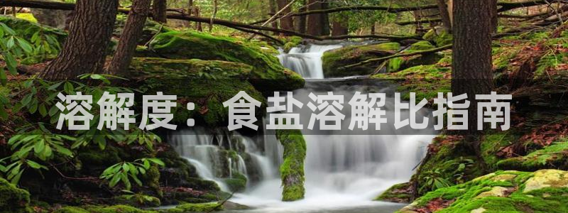 威九国际可以提现吗现在