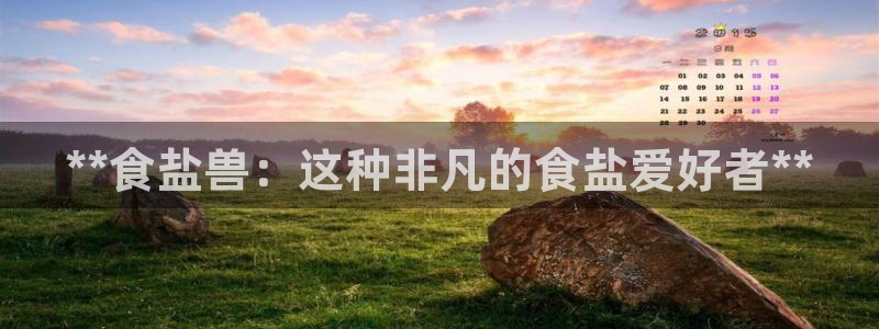 威九国际网站更新了吗