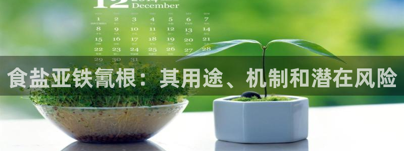 威九国际可以提现吗