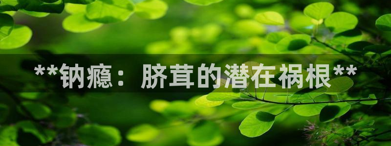 威九国际网站经常打不开怎么办