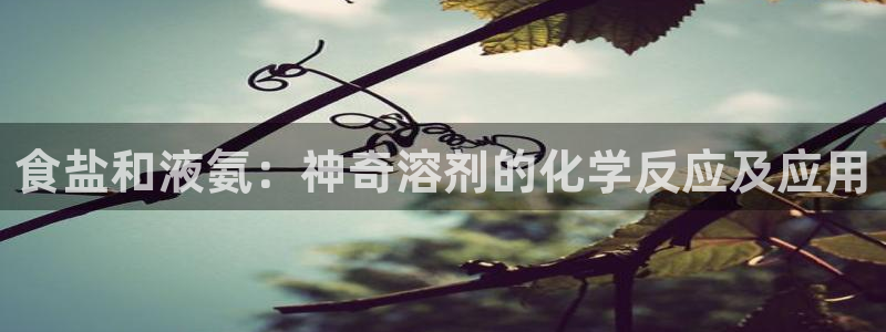 威九国际app网站安全吗