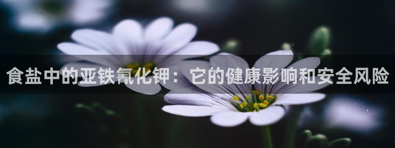 威九国际v96242cc官网版