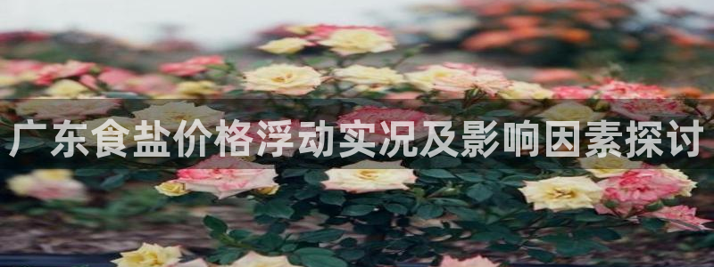 威九国际AN