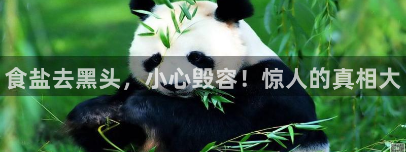 威九国际哪国的
