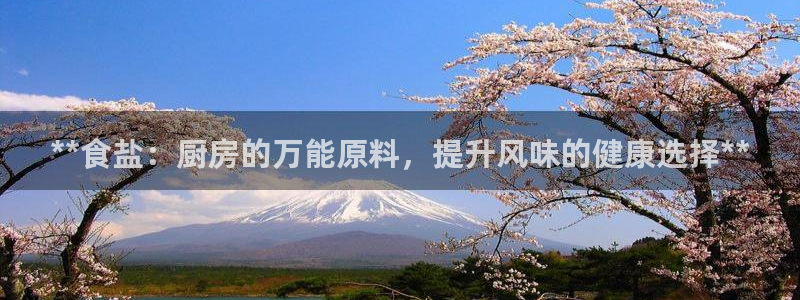 威九国际网站入口官网首页下载