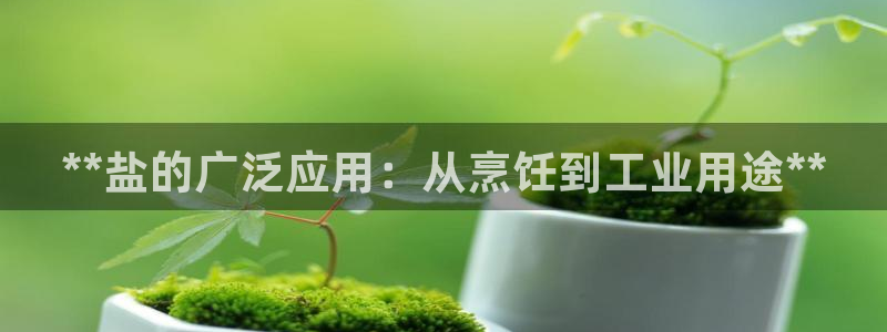 威九国际女神