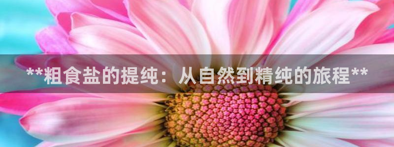78mapp威九国际成全视频