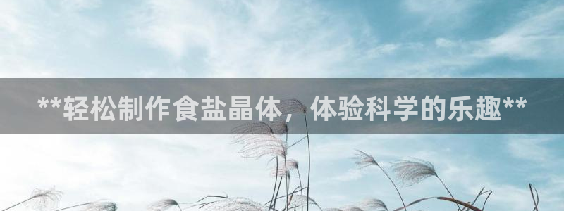威九国际黄威尼斯