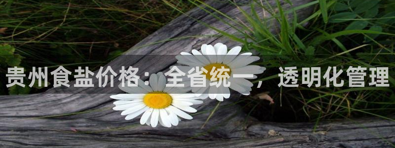 威九国际网站更新